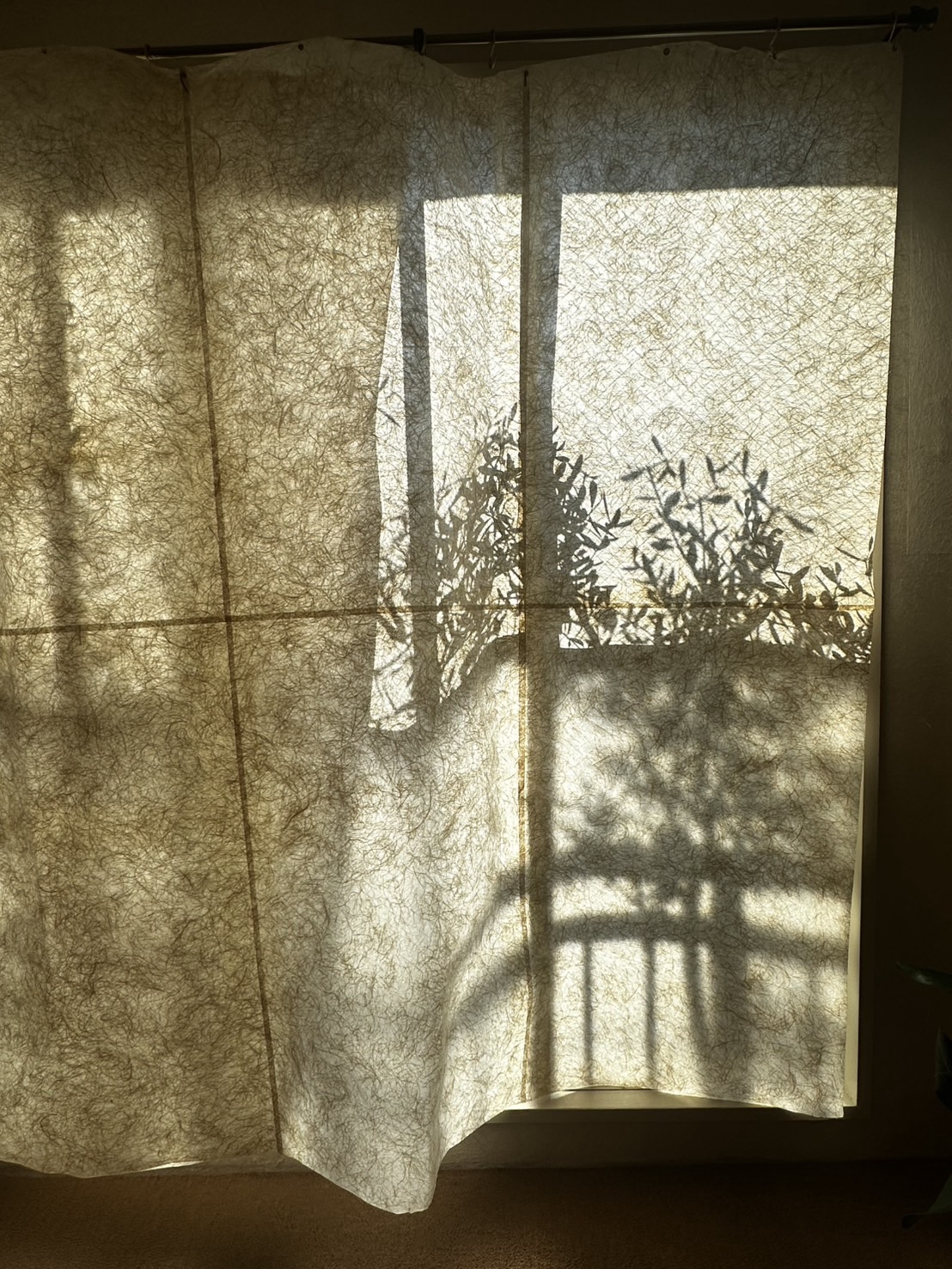 あまろのカーテンに差し込む光 / Light through the curtains at amaro